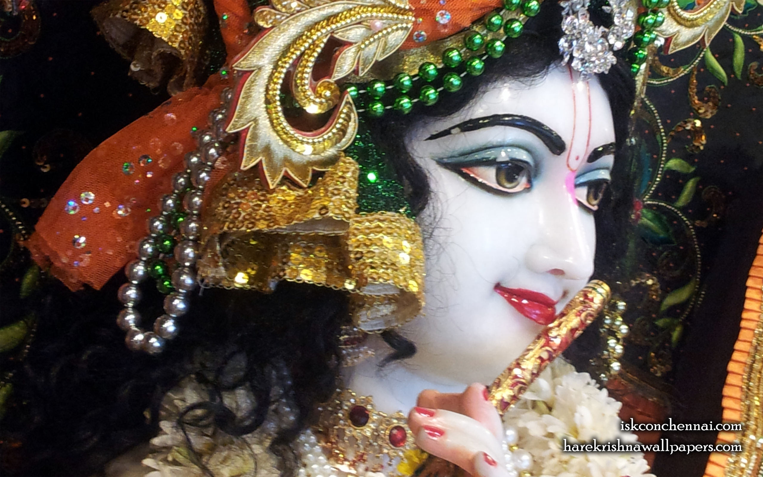 Sri Krishna Close up Wallpaper (020) Size 2560x1600 Download