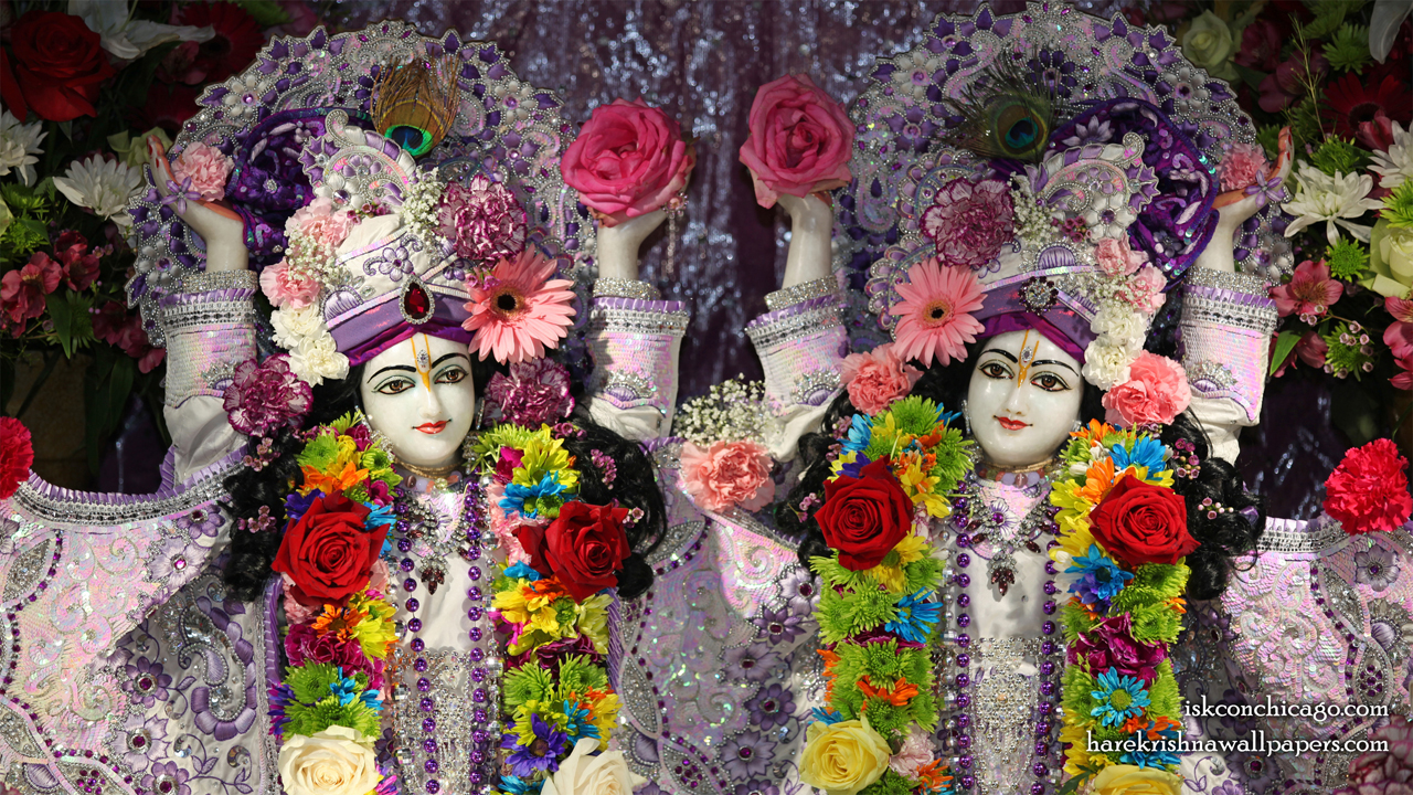Sri Sri Gaura Nitai Close up Wallpaper (002) Size1280x720 Download