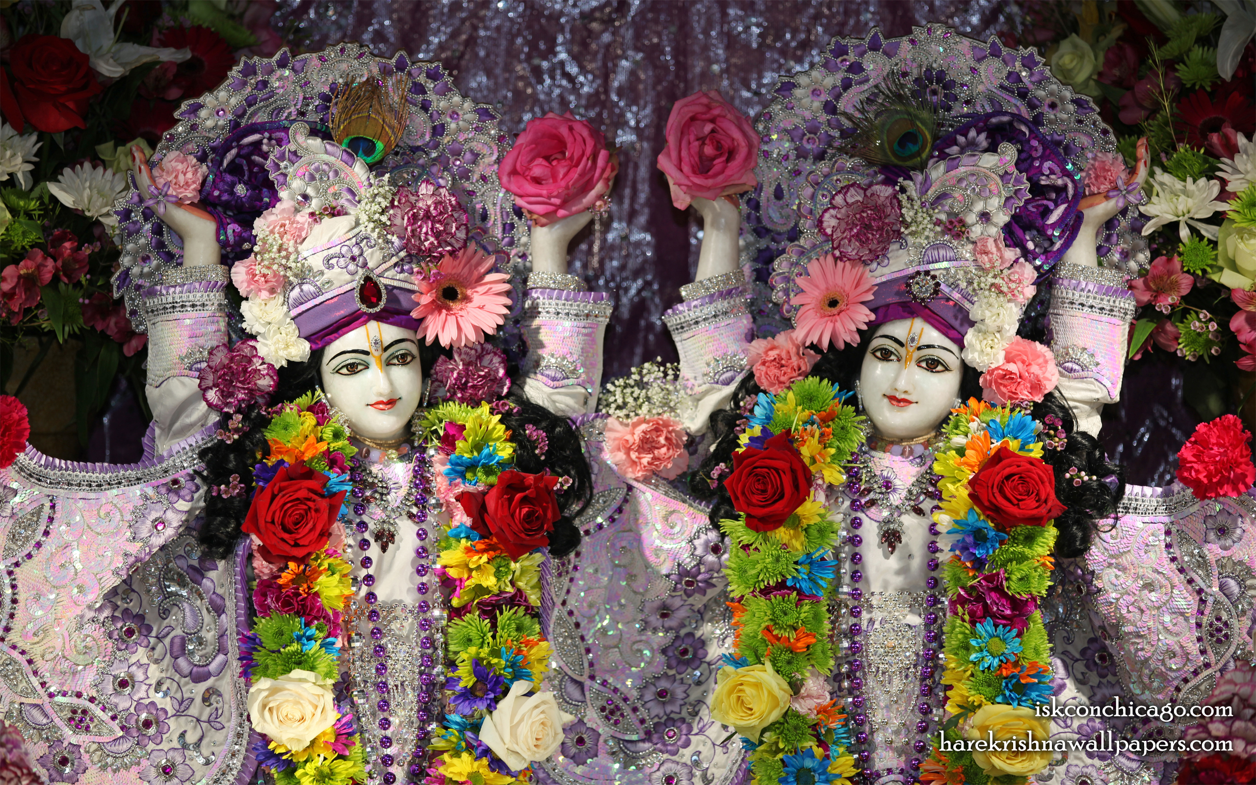 Sri Sri Gaura Nitai Close up Wallpaper (002) Size 2560x1600 Download