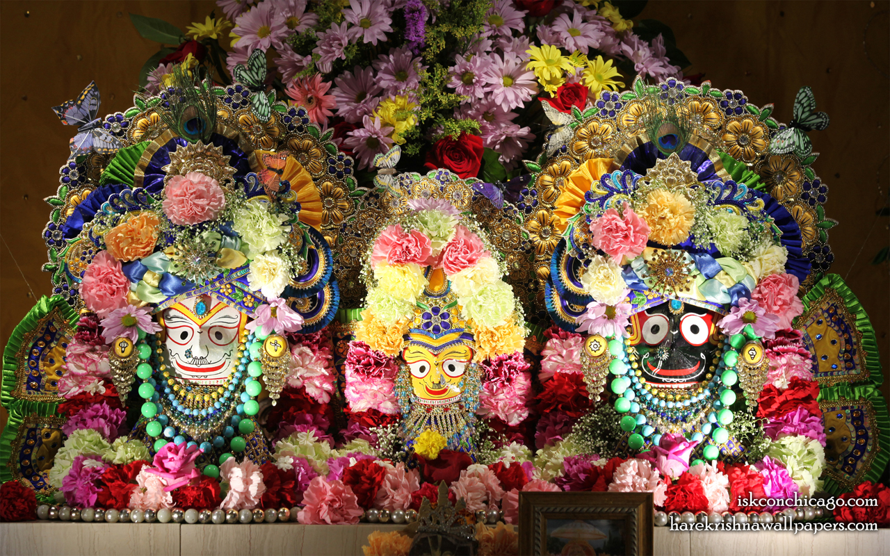 Jagannath Baladeva Subhadra Wallpaper (008) Size 1280x800 Download