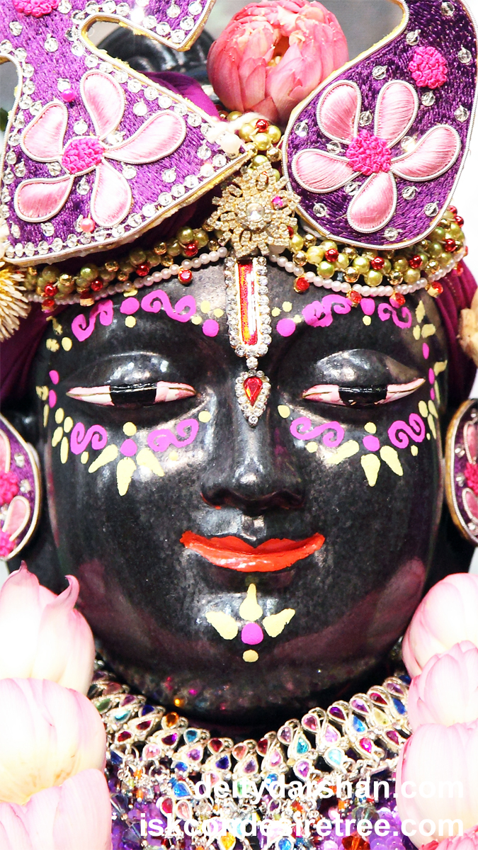 Sri Gopal Close up Wallpaper (001) Size 675x1200 Download