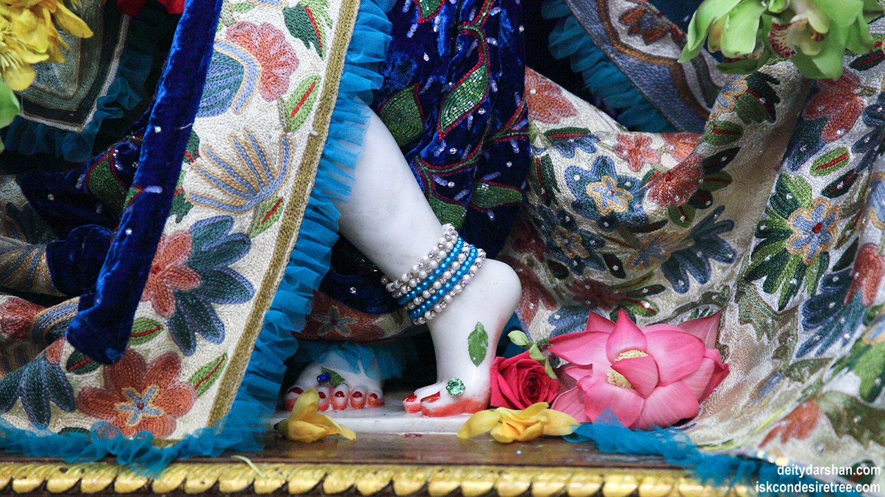 Sri Gopinath Feet Wallpaper (001) Size1280x720 Download