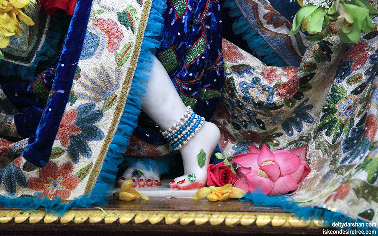 Sri Gopinath Feet Wallpaper (001) Size 1280x800 Download