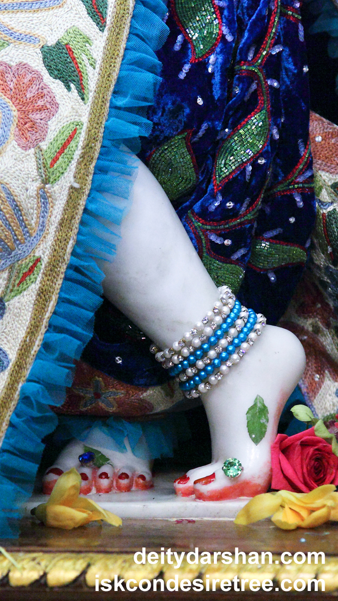 Sri Gopinath Feet Wallpaper (001) Size 675x1200 Download