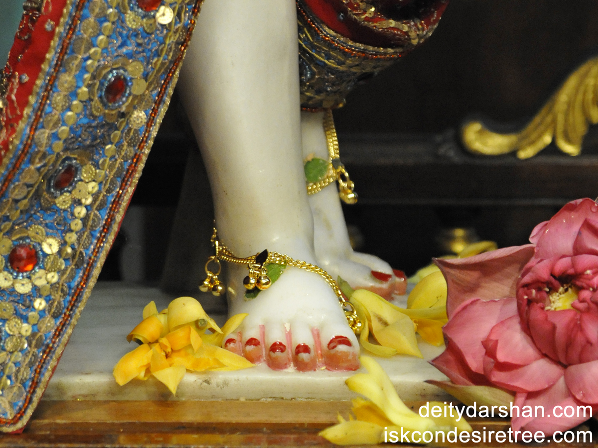 Sri Nitai Feet Wallpaper (001) Size1200x900 Download