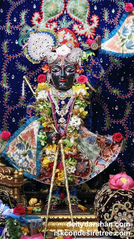Sri Gopal Wallpaper (002) Size 450x800 Download
