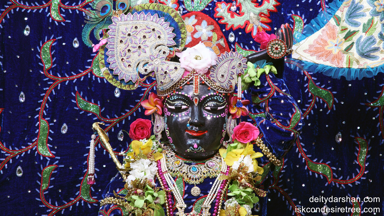 Sri Gopal Close up Wallpaper (002) Size1280x720 Download