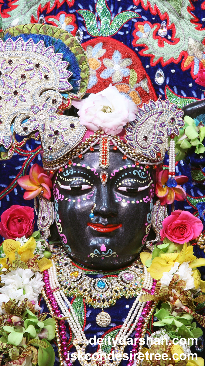 Sri Gopal Close up Wallpaper (002) Size 675x1200 Download