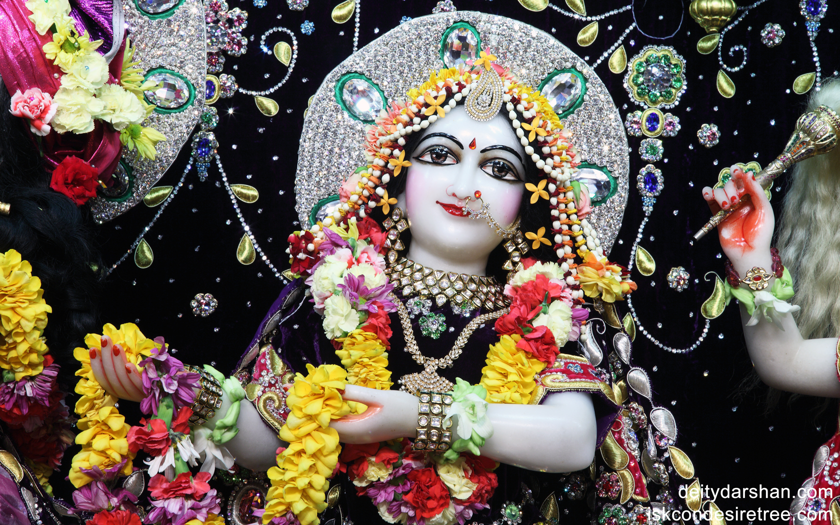 Srimati Radharani Close up Wallpaper (002) Size1680x1050 Download