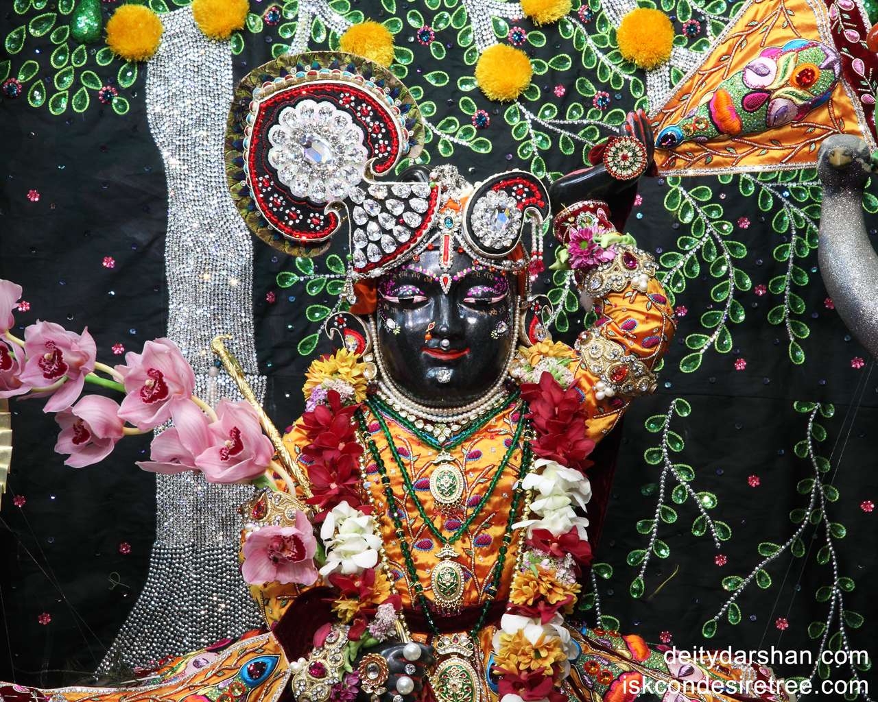 Sri Gopal Close up Wallpaper (003) Size 1280x1024 Download