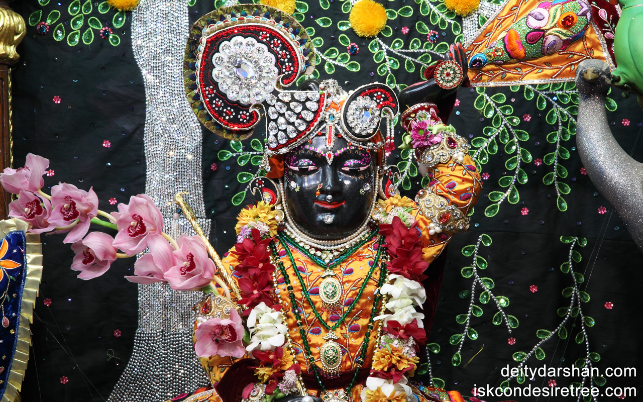 Sri Gopal Close up Wallpaper (003) Size 1280x800 Download