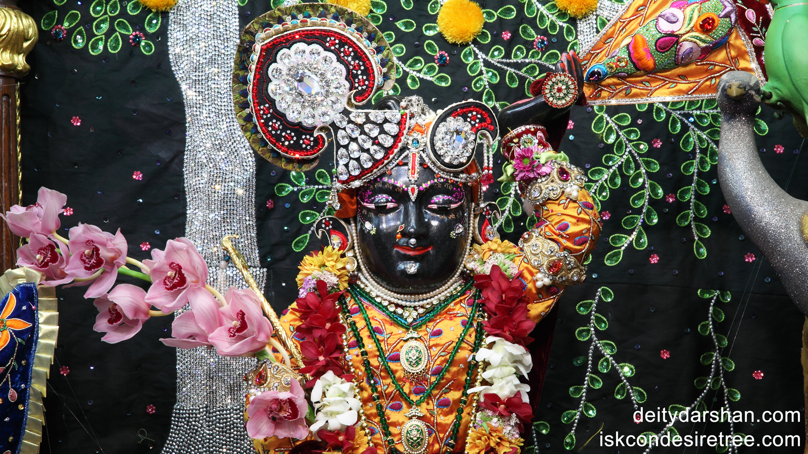 Sri Gopal Close up Wallpaper (003) Size 1600x900 Download