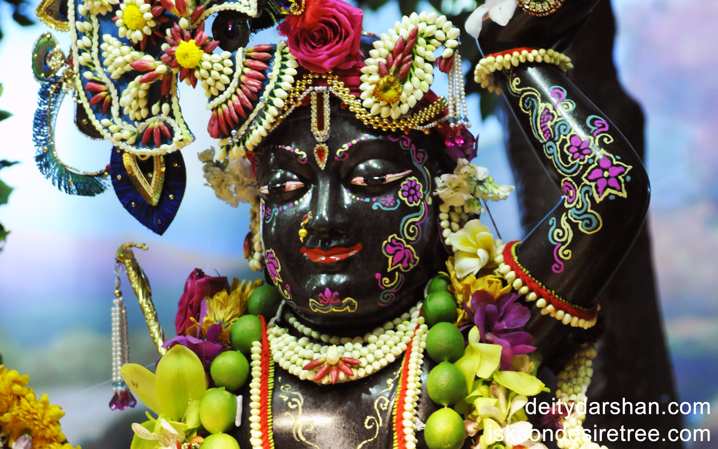 Sri Gopal Close up Wallpaper (004) Size 1440x900 Download