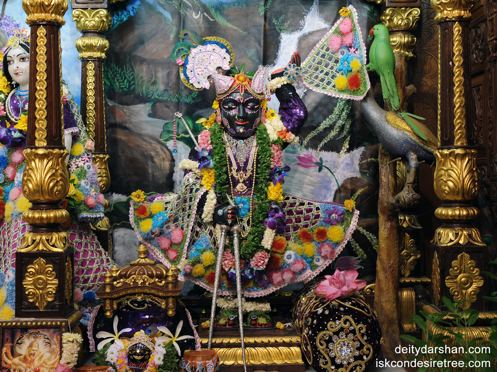 Sri Gopal Wallpaper (005) Size 1024x768 Download