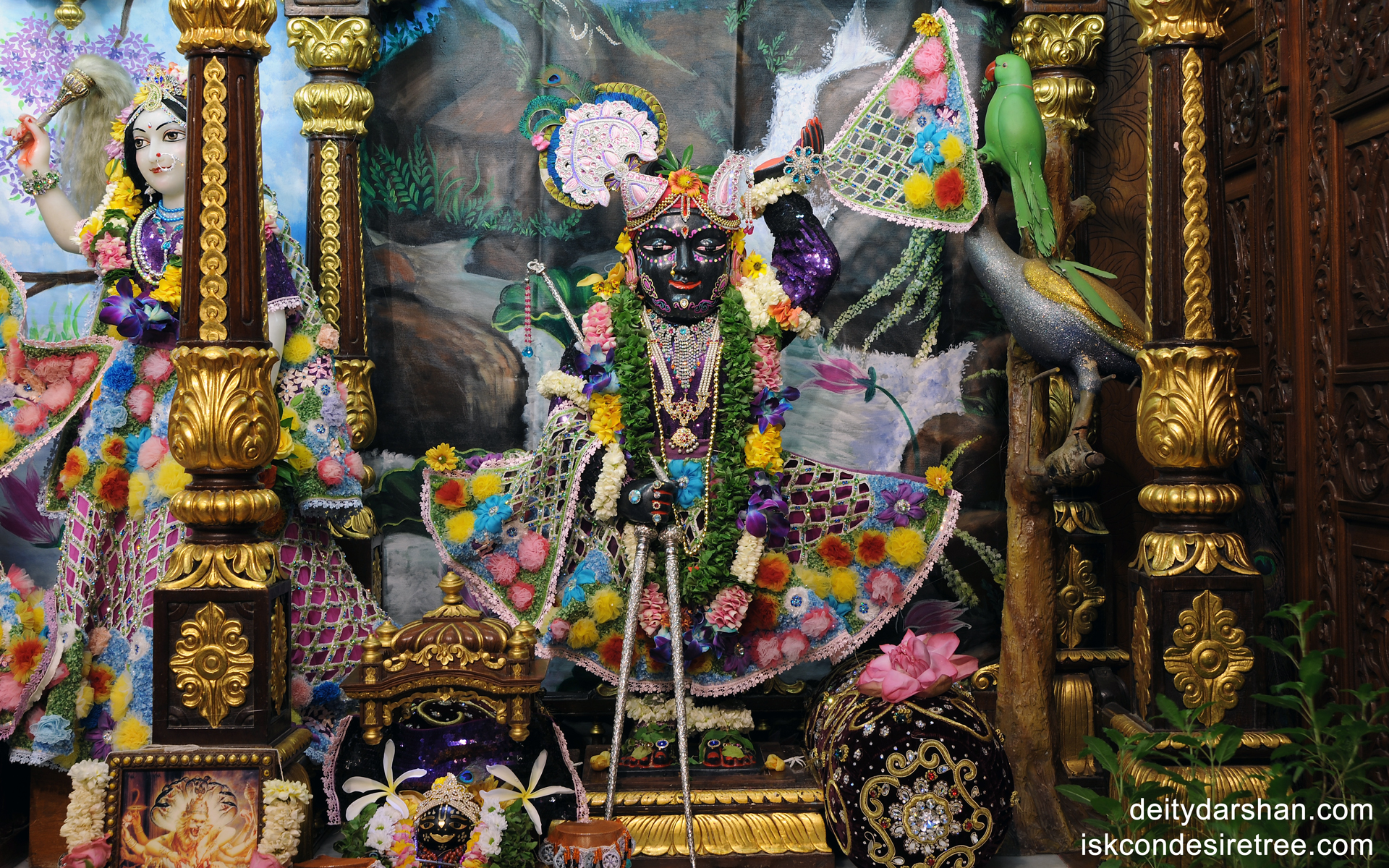 Sri Gopal Wallpaper (005) Size 1920x1200 Download