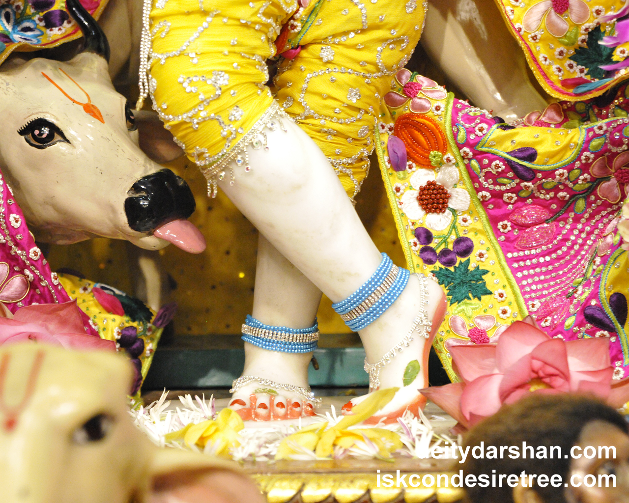 Sri Gopinath Feet Wallpaper (005) Size 1280x1024 Download