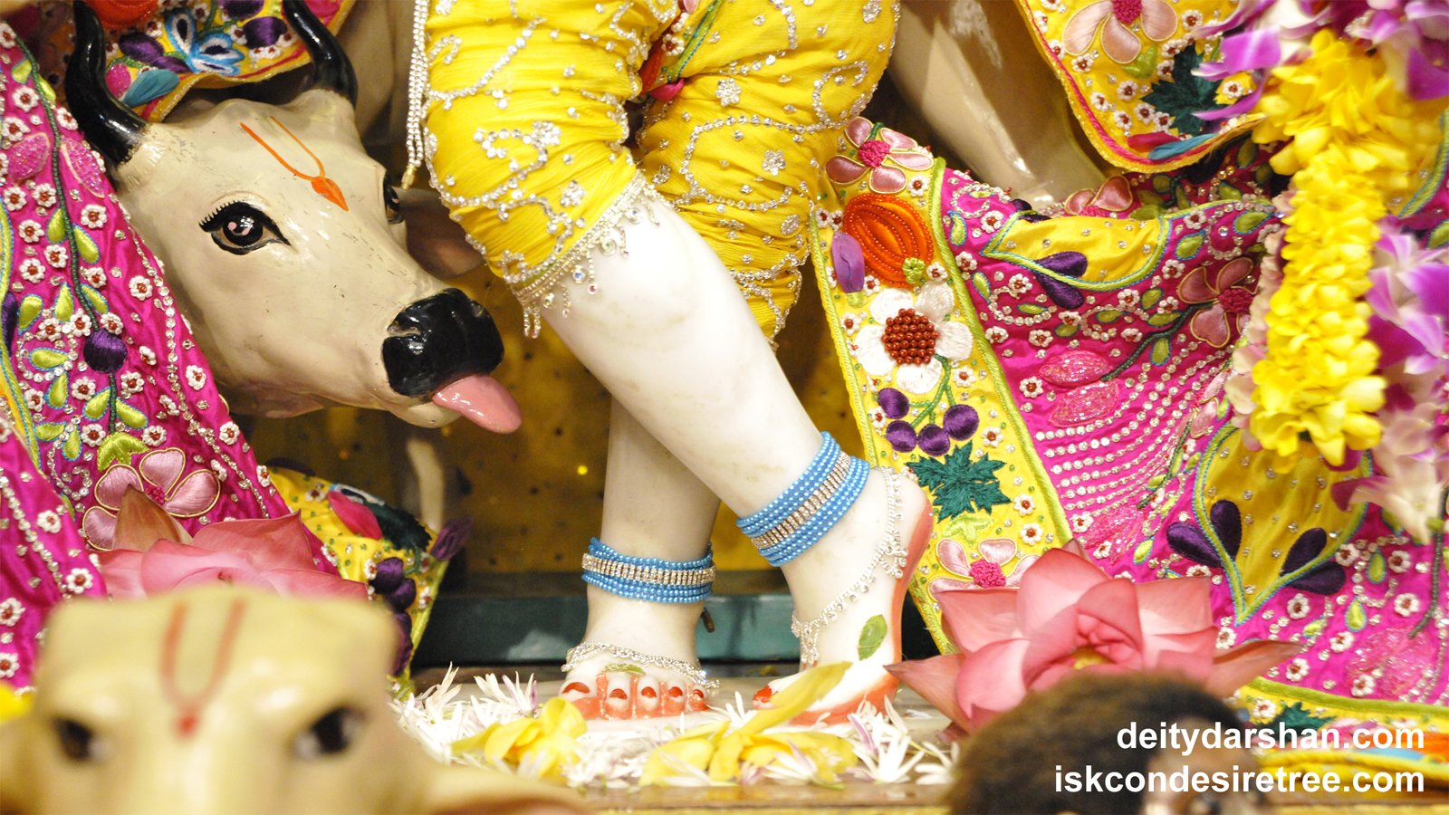 Sri Gopinath Feet Wallpaper (005) Size 1600x900 Download