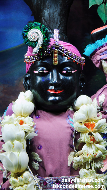Sri Gopal Close up Wallpaper (006) Size 450x800 Download