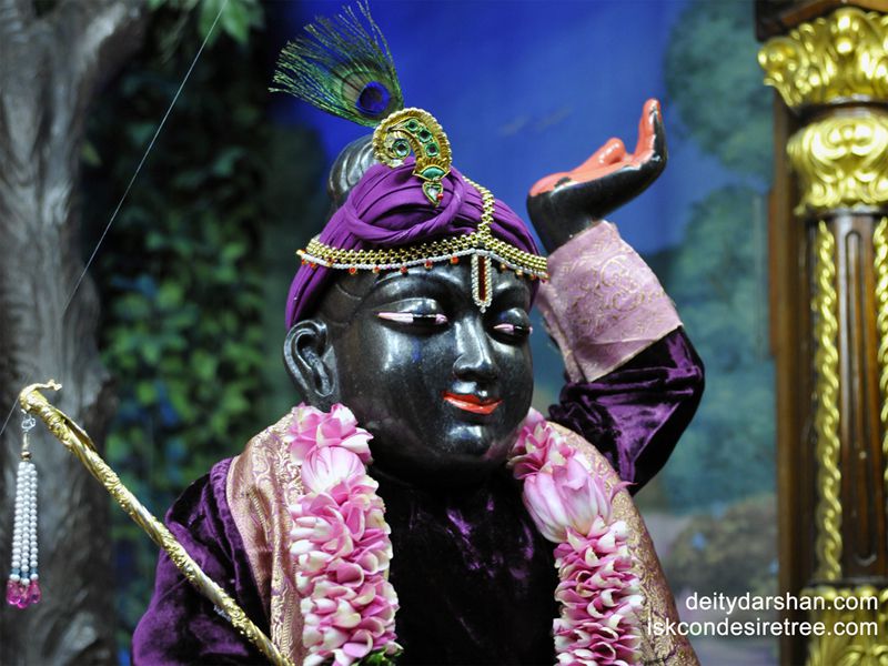 Sri Gopal Closeup Wallpaper (007)