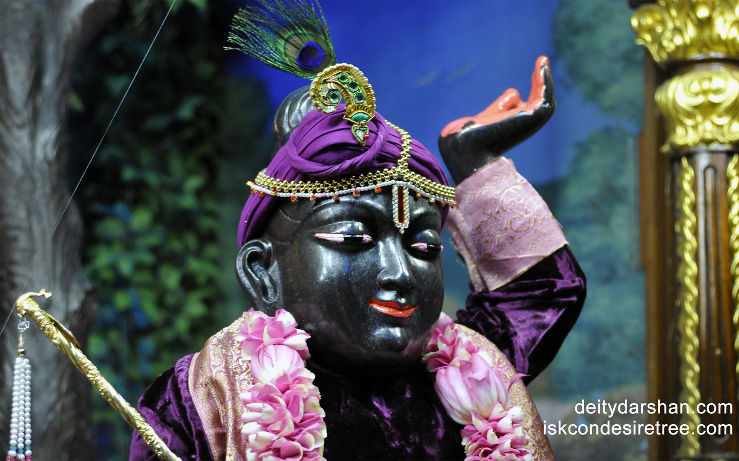Sri Gopal Close up Wallpaper (007) Size 1440x900 Download