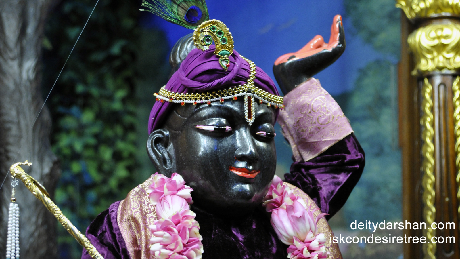Sri Gopal Close up Wallpaper (007) Size 1600x900 Download