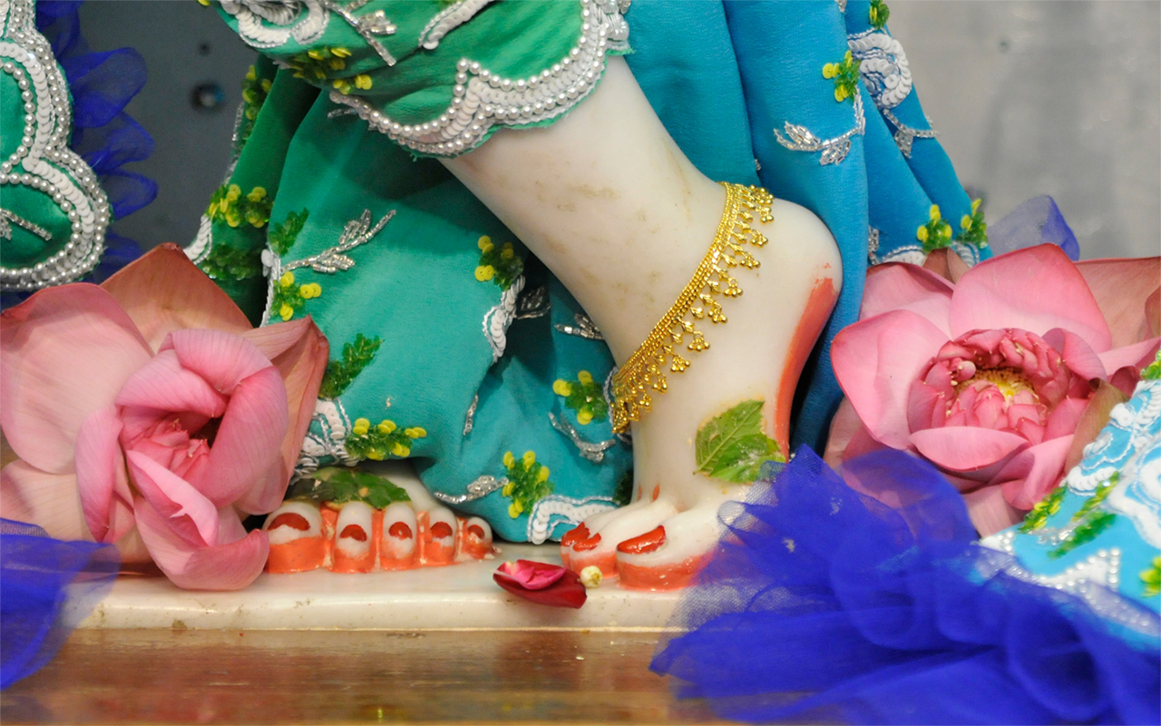 Sri Gopinath Feet Wallpaper (007) Size 1280x800 Download