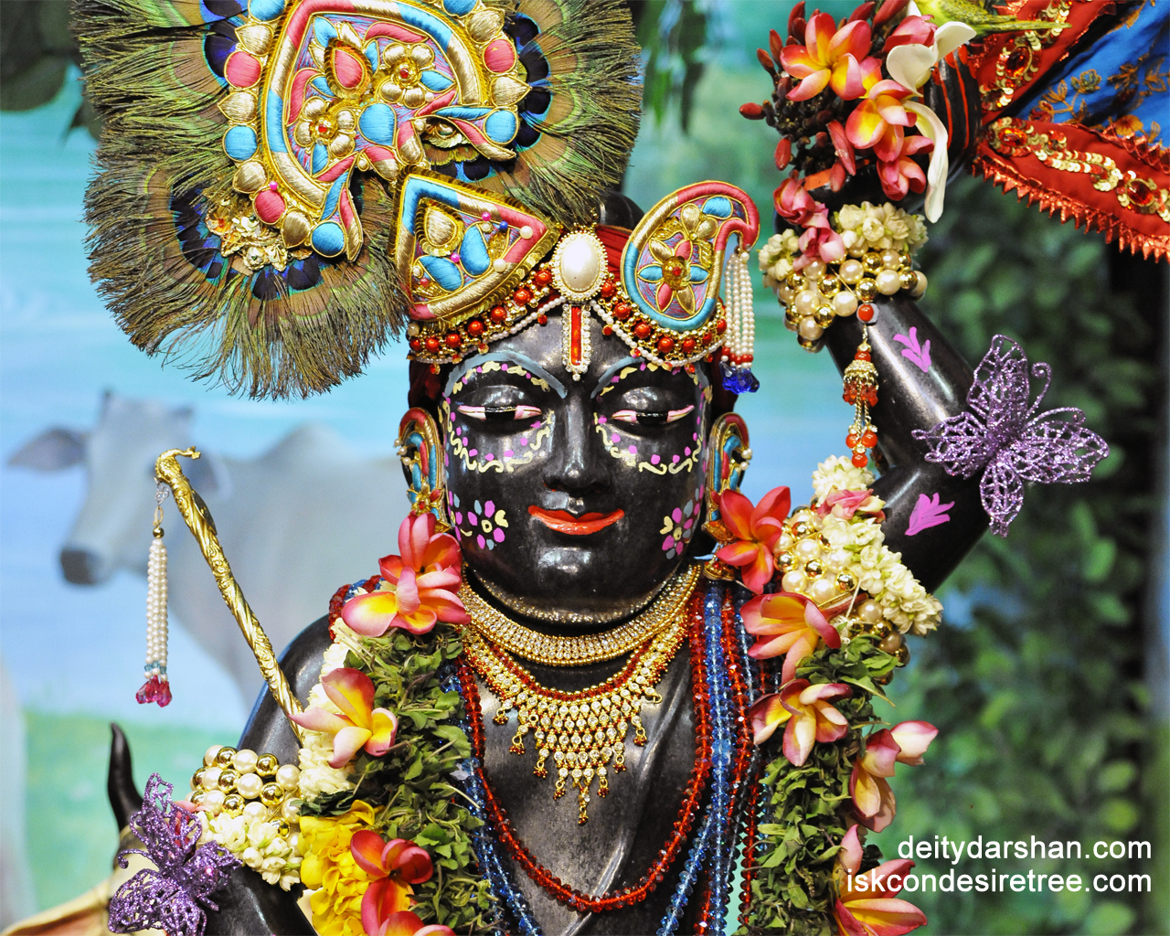 Sri Gopal Close up Wallpaper (008) Size 1280x1024 Download