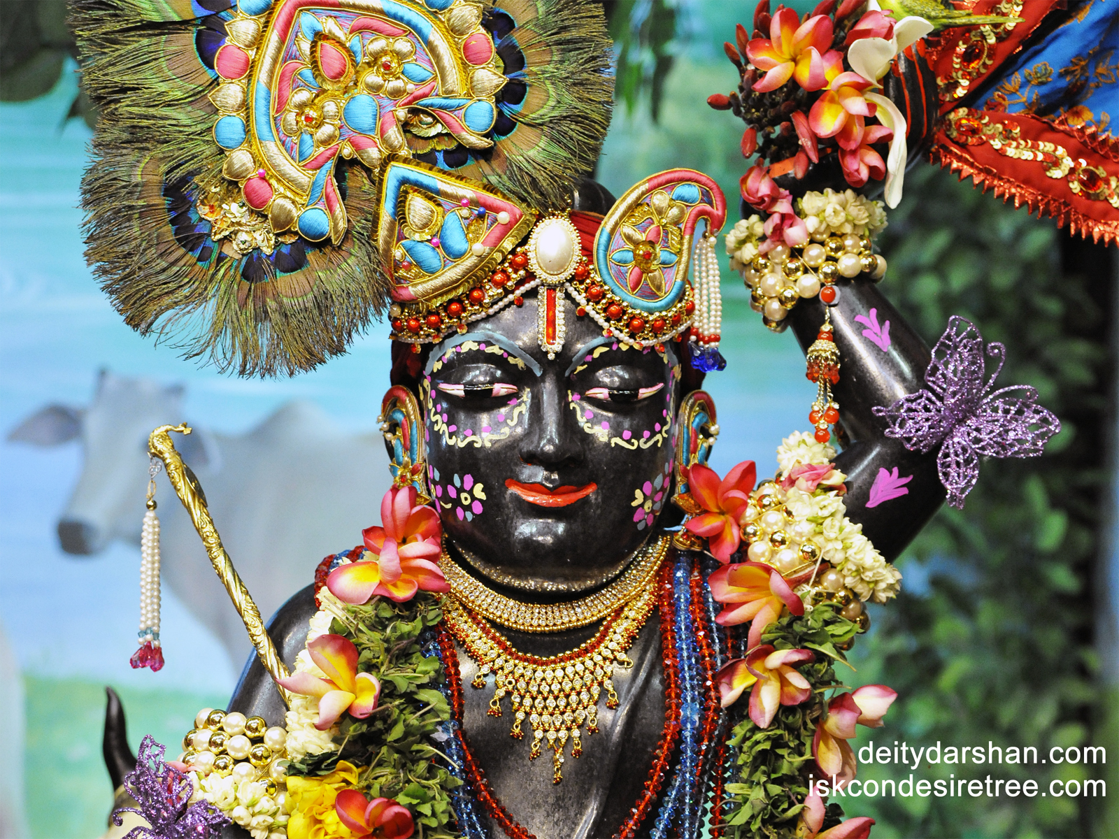 Sri Gopal Close up Wallpaper (008) Size1600x1200 Download