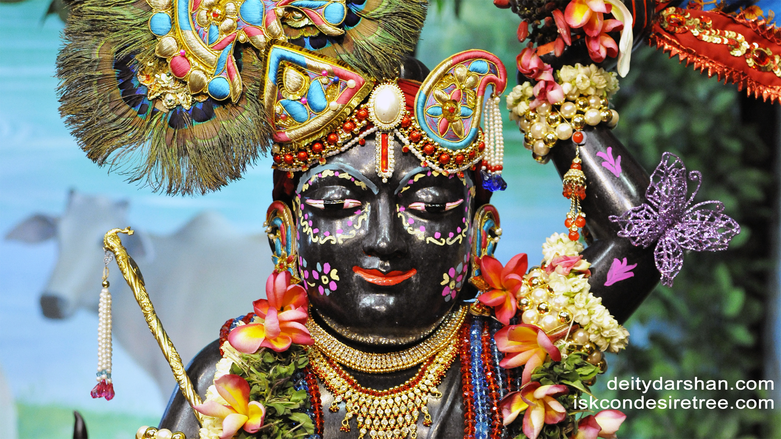 Sri Gopal Close up Wallpaper (008) Size 1600x900 Download