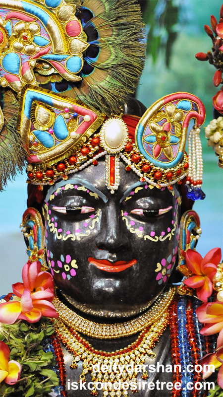 Sri Gopal Close up Wallpaper (008) Size 450x800 Download