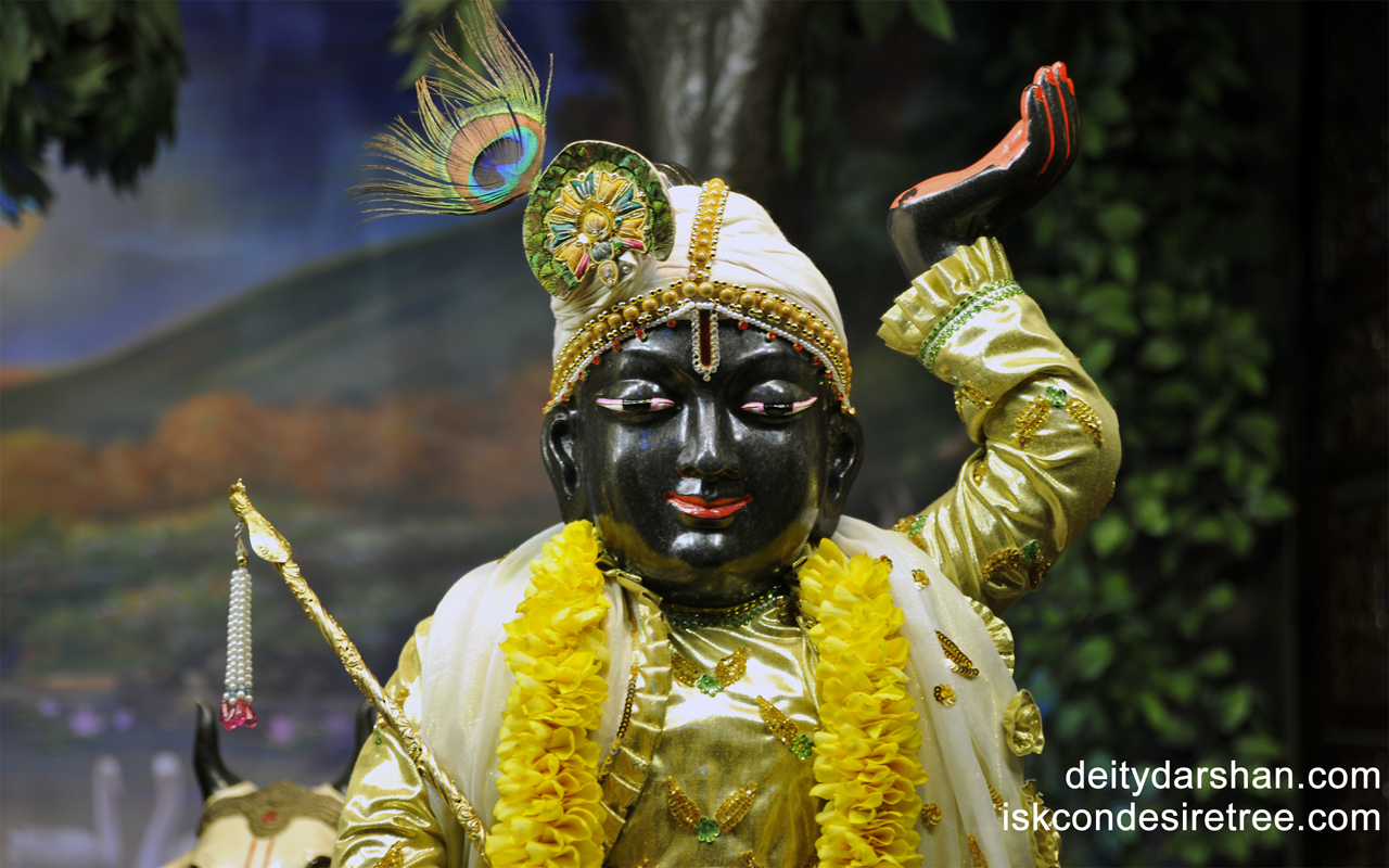 Sri Gopal Close up Wallpaper (009) Size 1280x800 Download