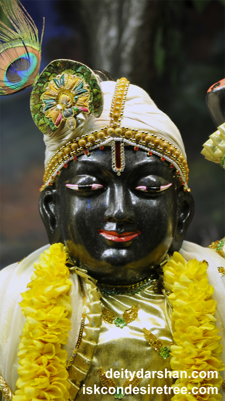 Sri Gopal Close up Wallpaper (009) Size 450x800 Download