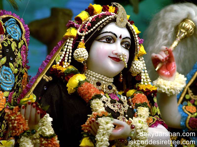 Srimati Radharani Close up Wallpaper (009)