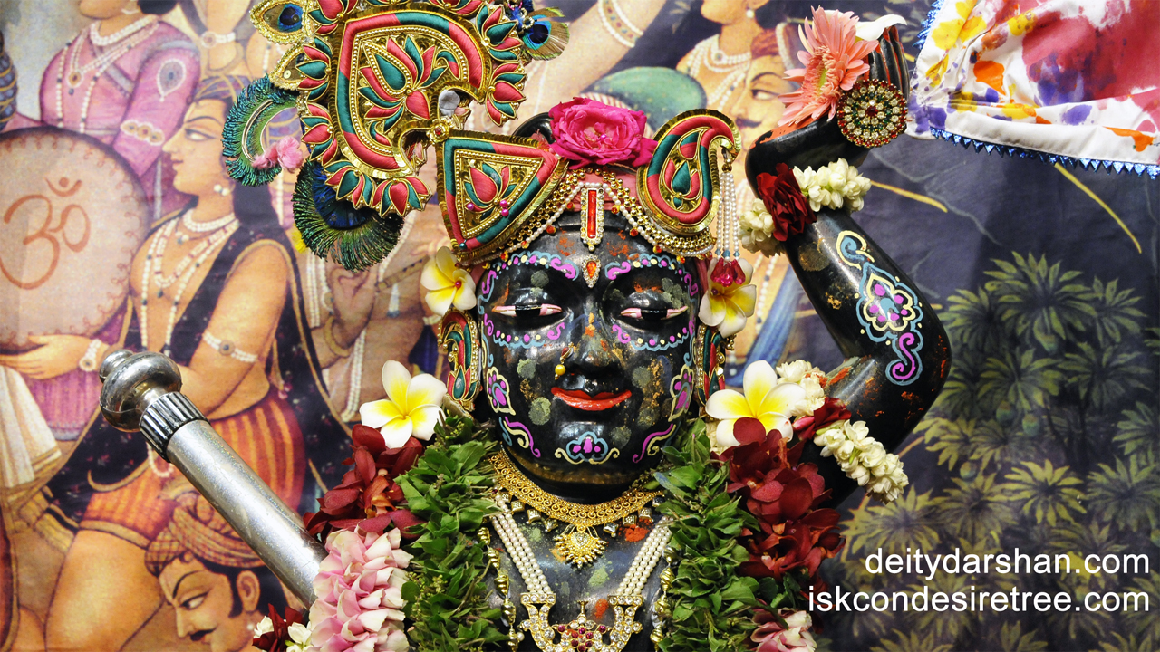 Sri Gopal Close up Wallpaper (010) Size1280x720 Download