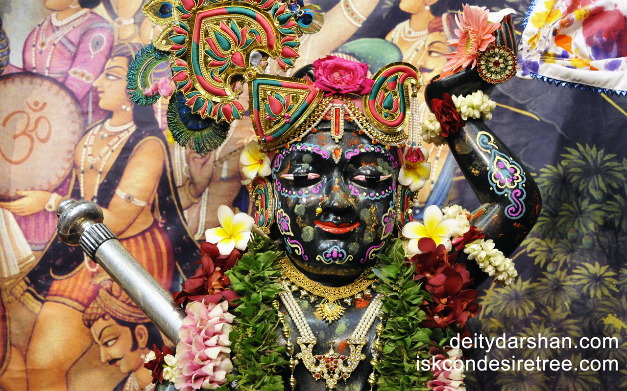 Sri Gopal Close up Wallpaper (010) Size 1280x800 Download