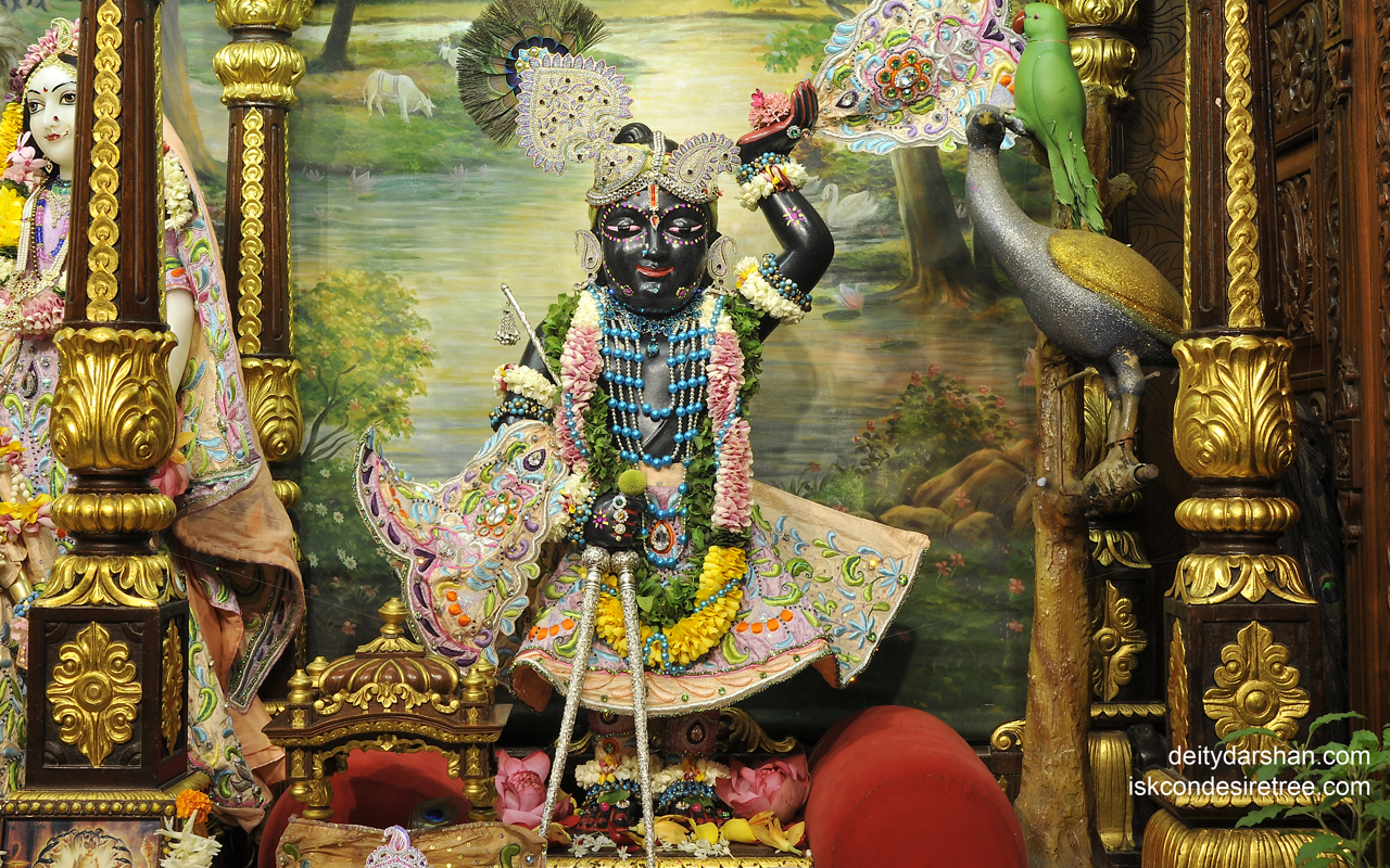 Sri Gopal Wallpaper (011) Size 1280x800 Download