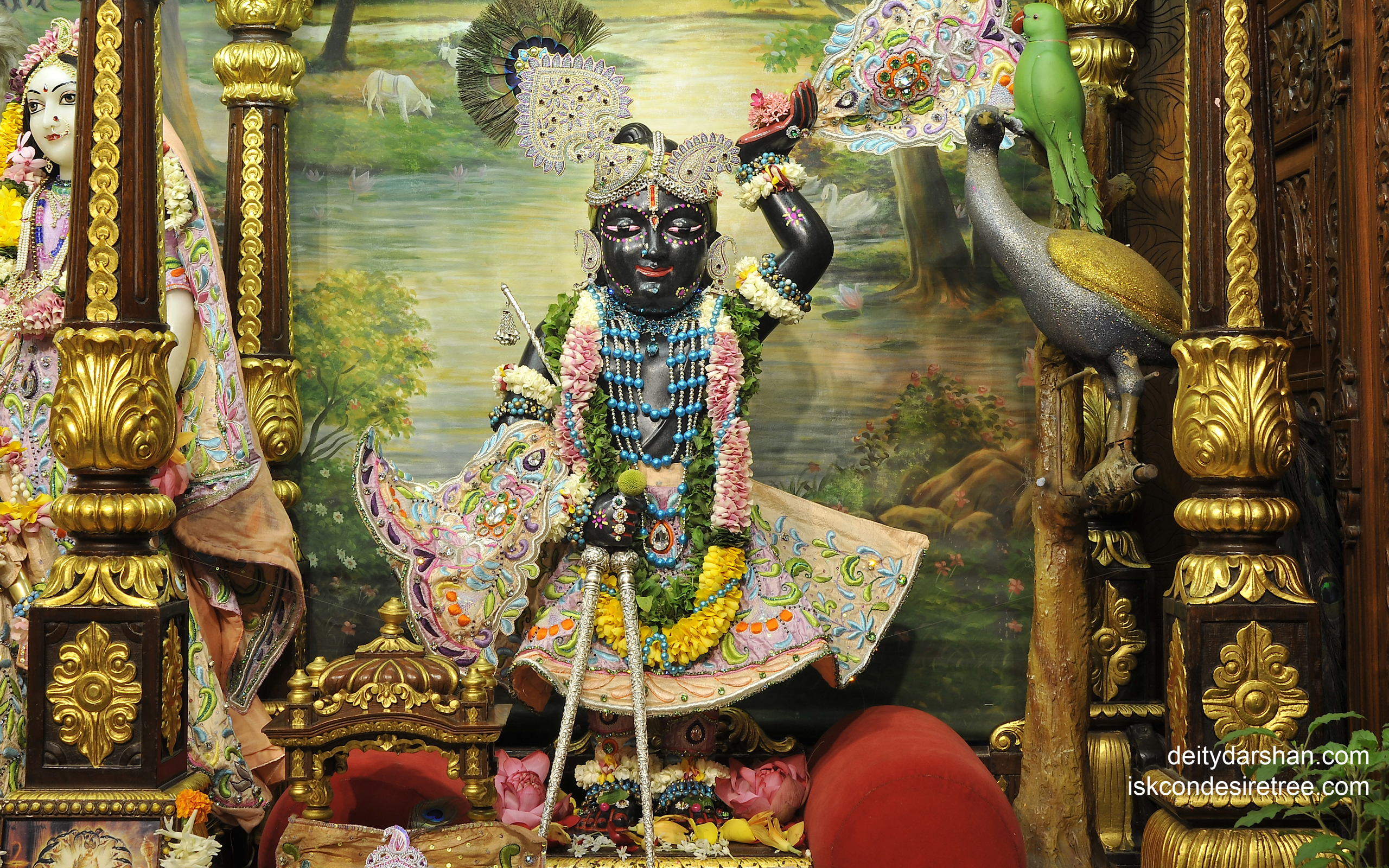 Sri Gopal Wallpaper (011) Size 2560x1600 Download