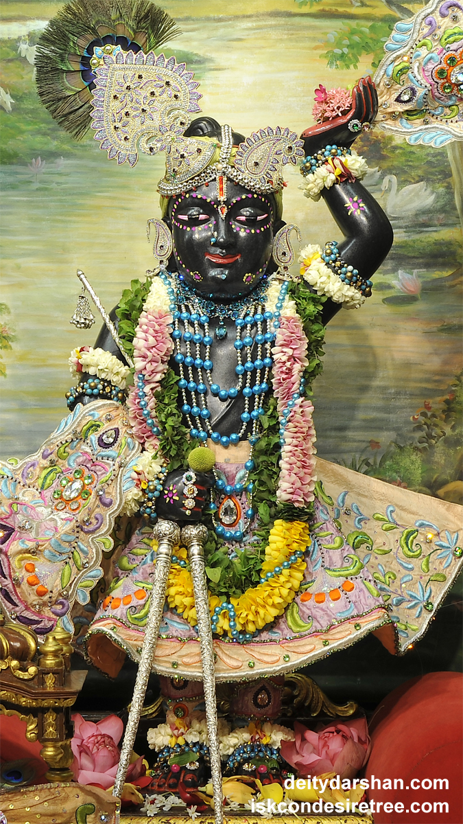 Sri Gopal Wallpaper (011) Size 675x1200 Download