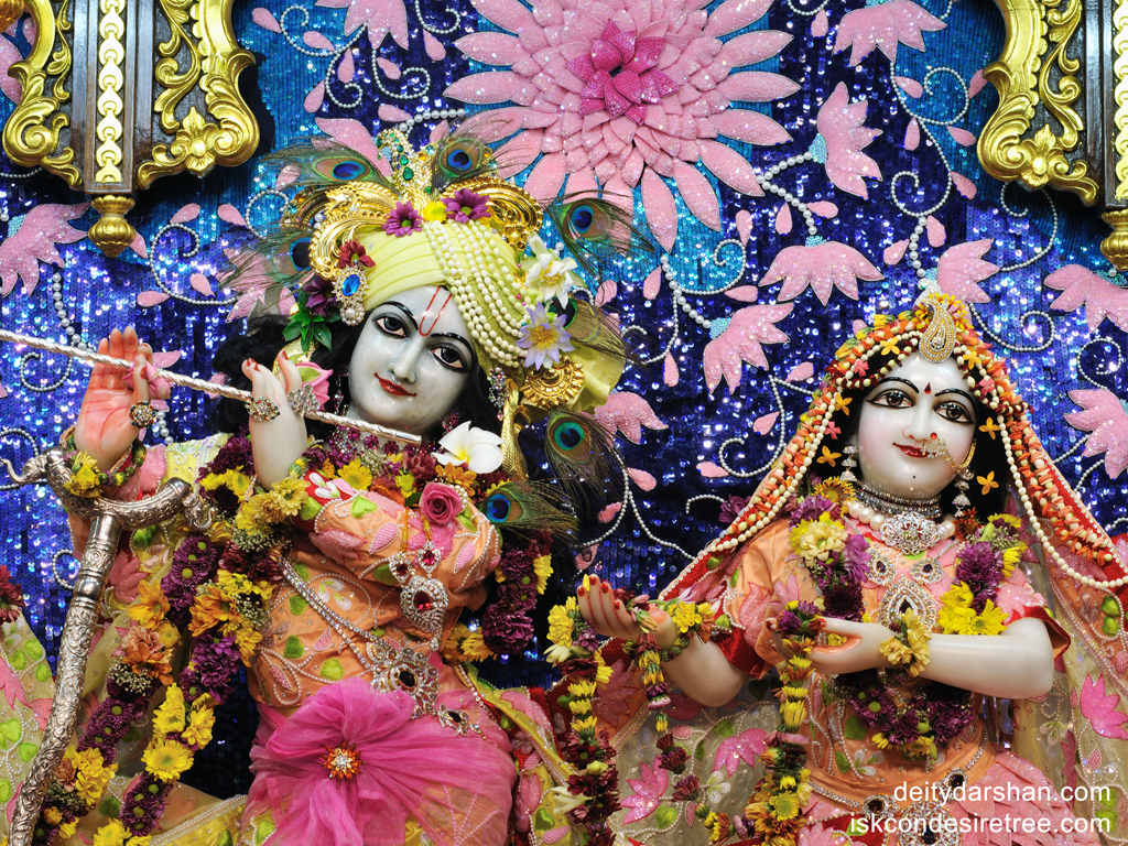 Sri Sri Radha Gopinath Close up Wallpaper (011) Size 1024x768 Download