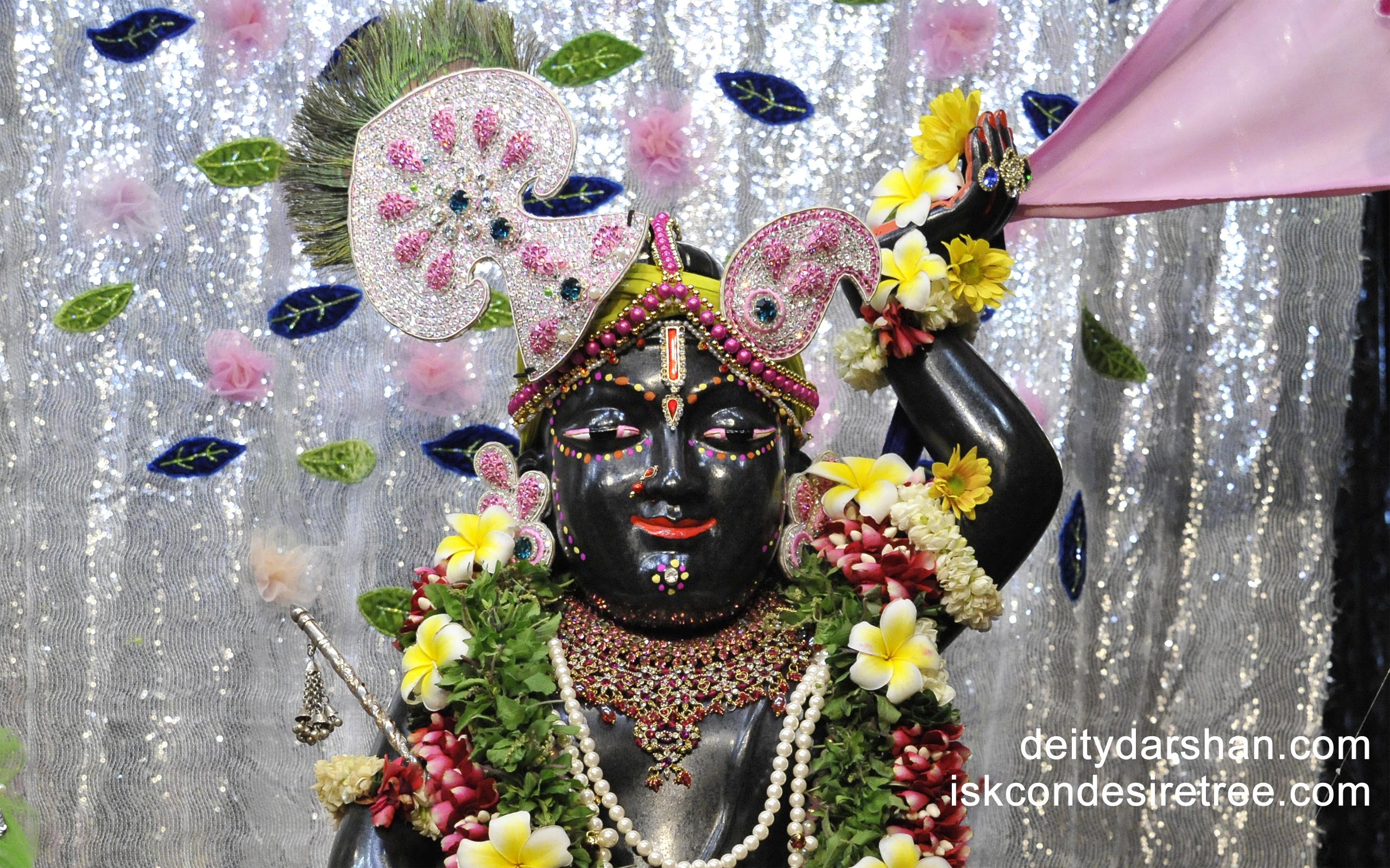 Sri Gopal Close up Wallpaper (012) Size 2560x1600 Download
