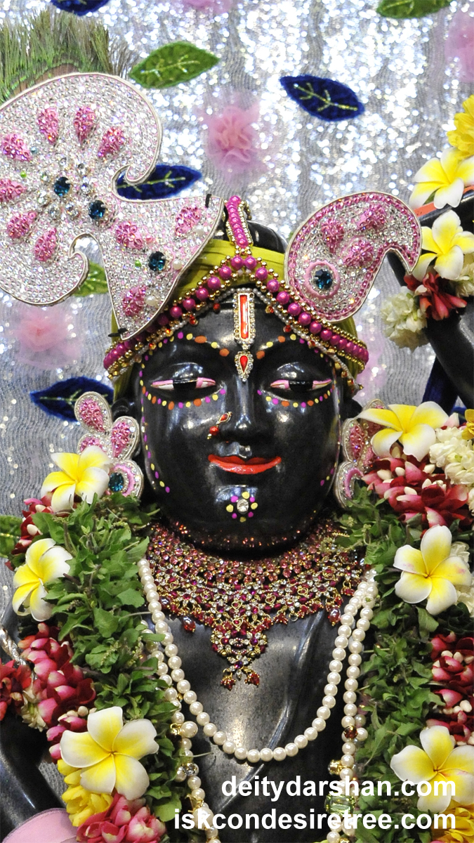 Sri Gopal Close up Wallpaper (012) Size 675x1200 Download