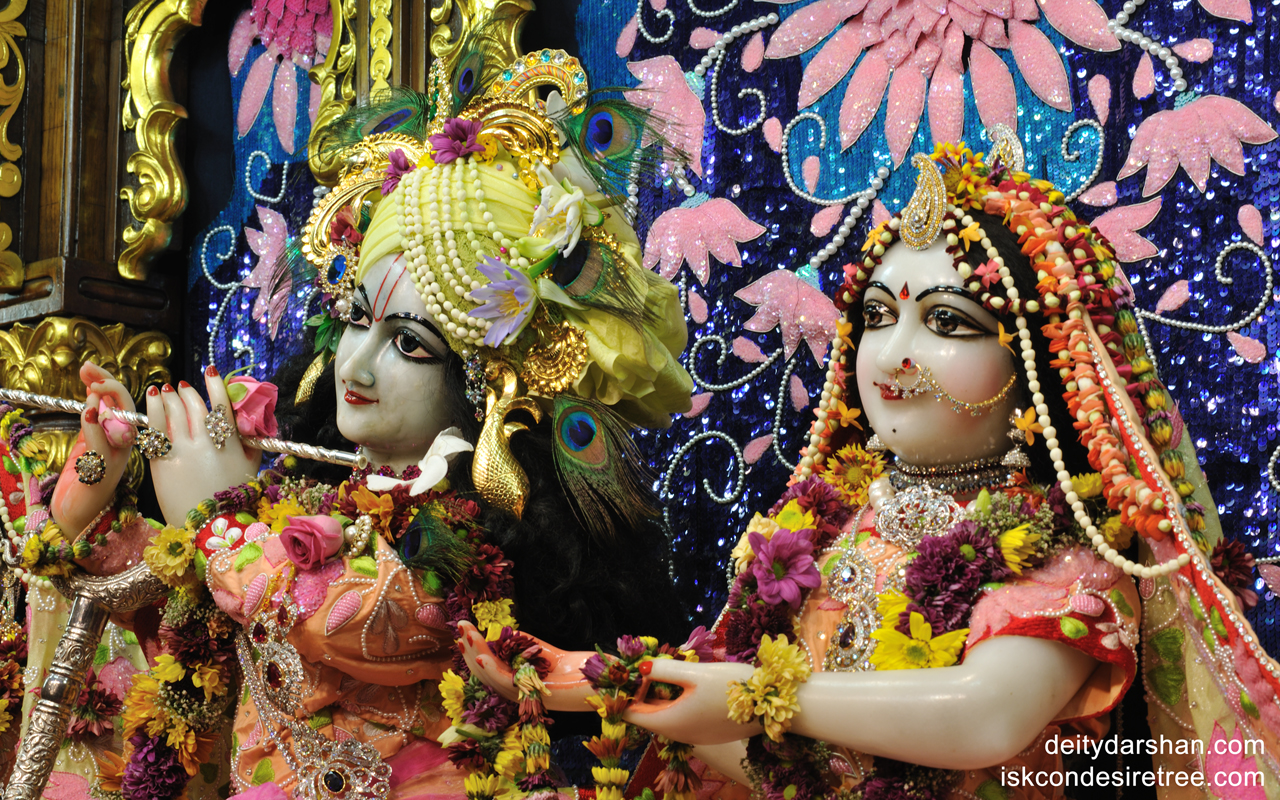 Sri Sri Radha Gopinath Close up Wallpaper (012) Size 1280x800 Download