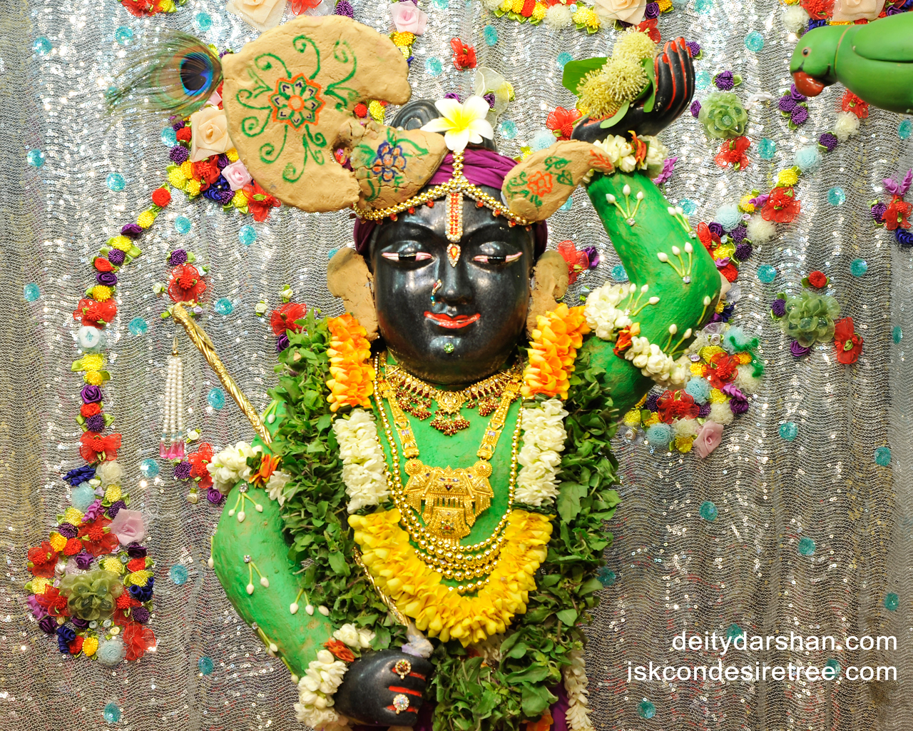 Sri Gopal Close up Wallpaper (013) Size 1280x1024 Download