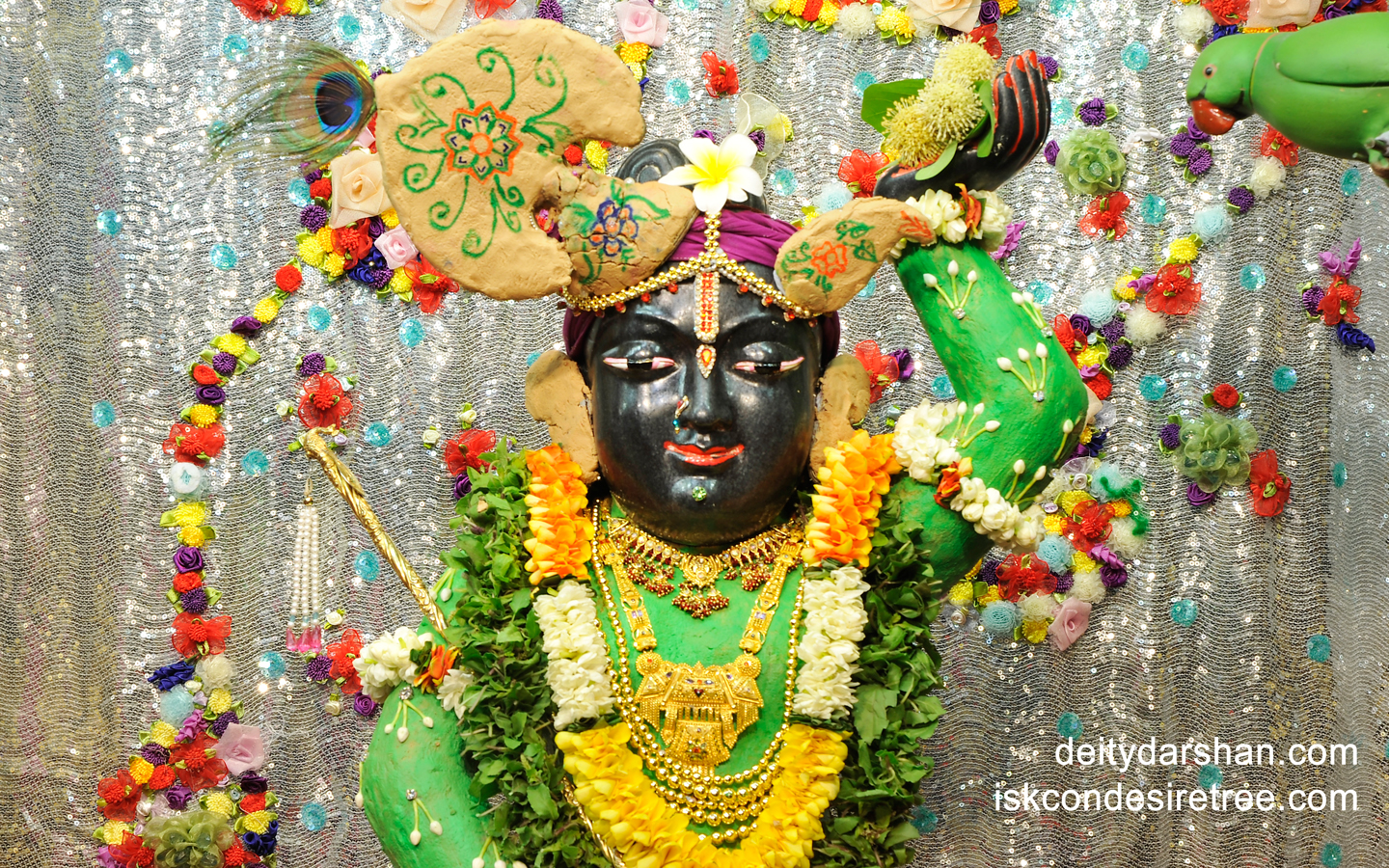 Sri Gopal Close up Wallpaper (013) Size 1440x900 Download