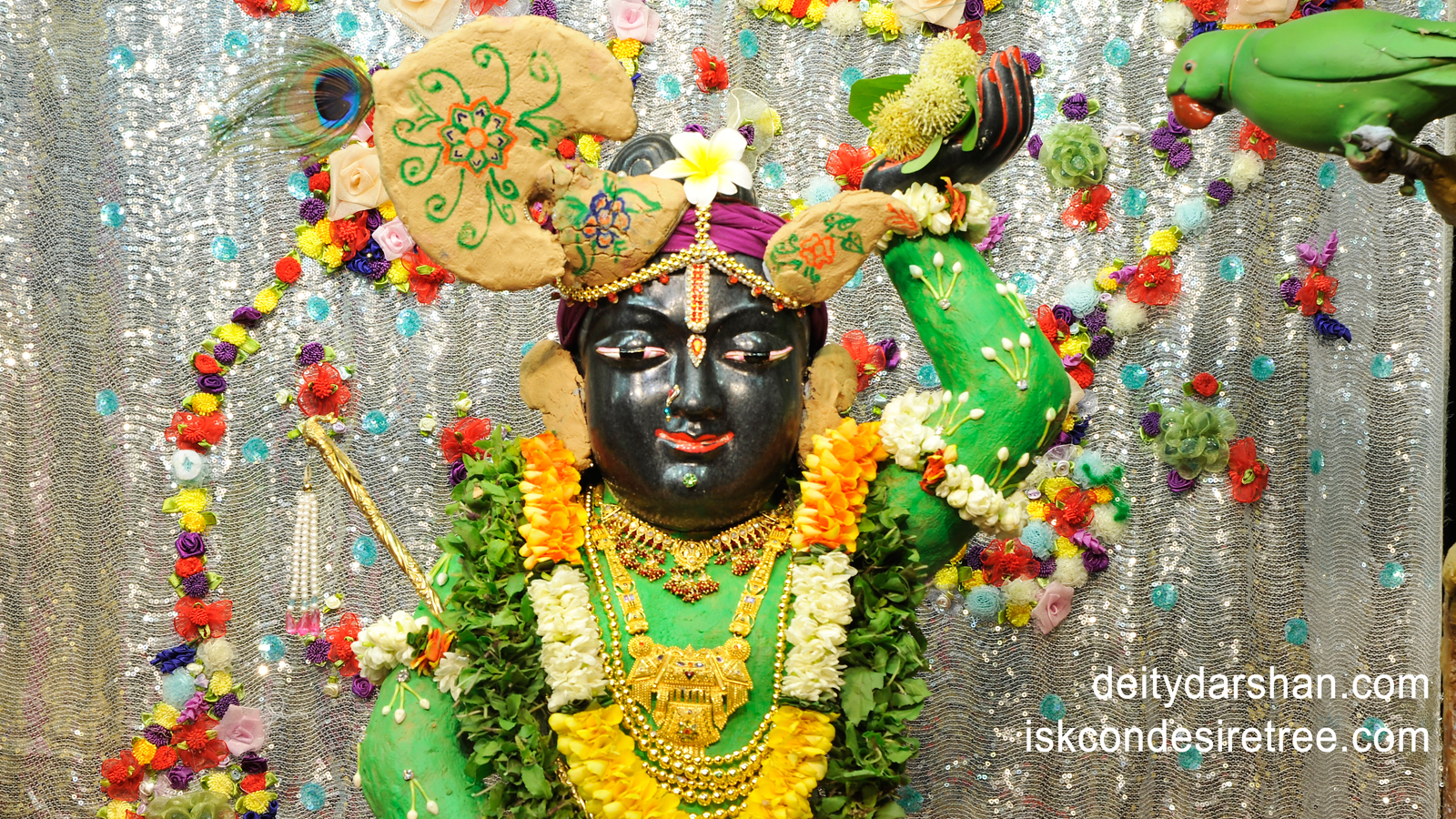 Sri Gopal Close up Wallpaper (013) Size 1600x900 Download