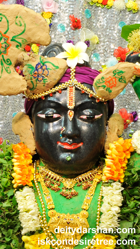 Sri Gopal Close up Wallpaper (013) Size 450x800 Download
