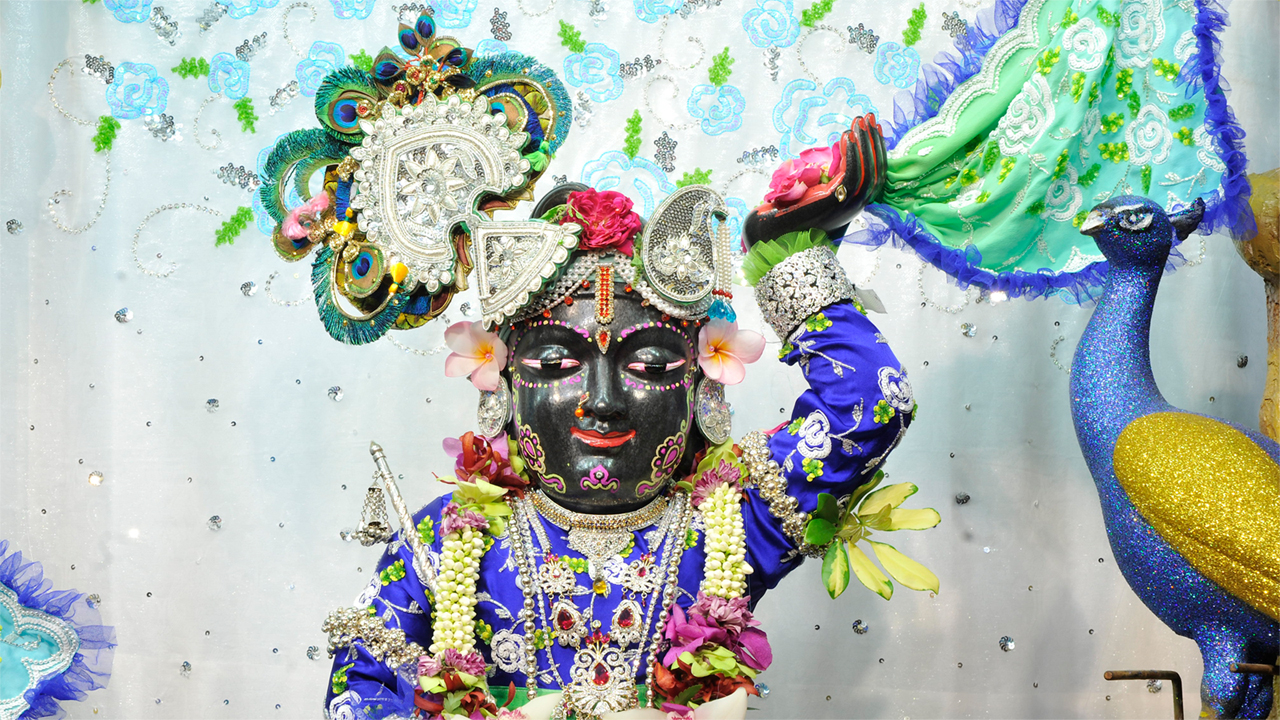 Sri Gopal Close up Wallpaper (016) Size1280x720 Download