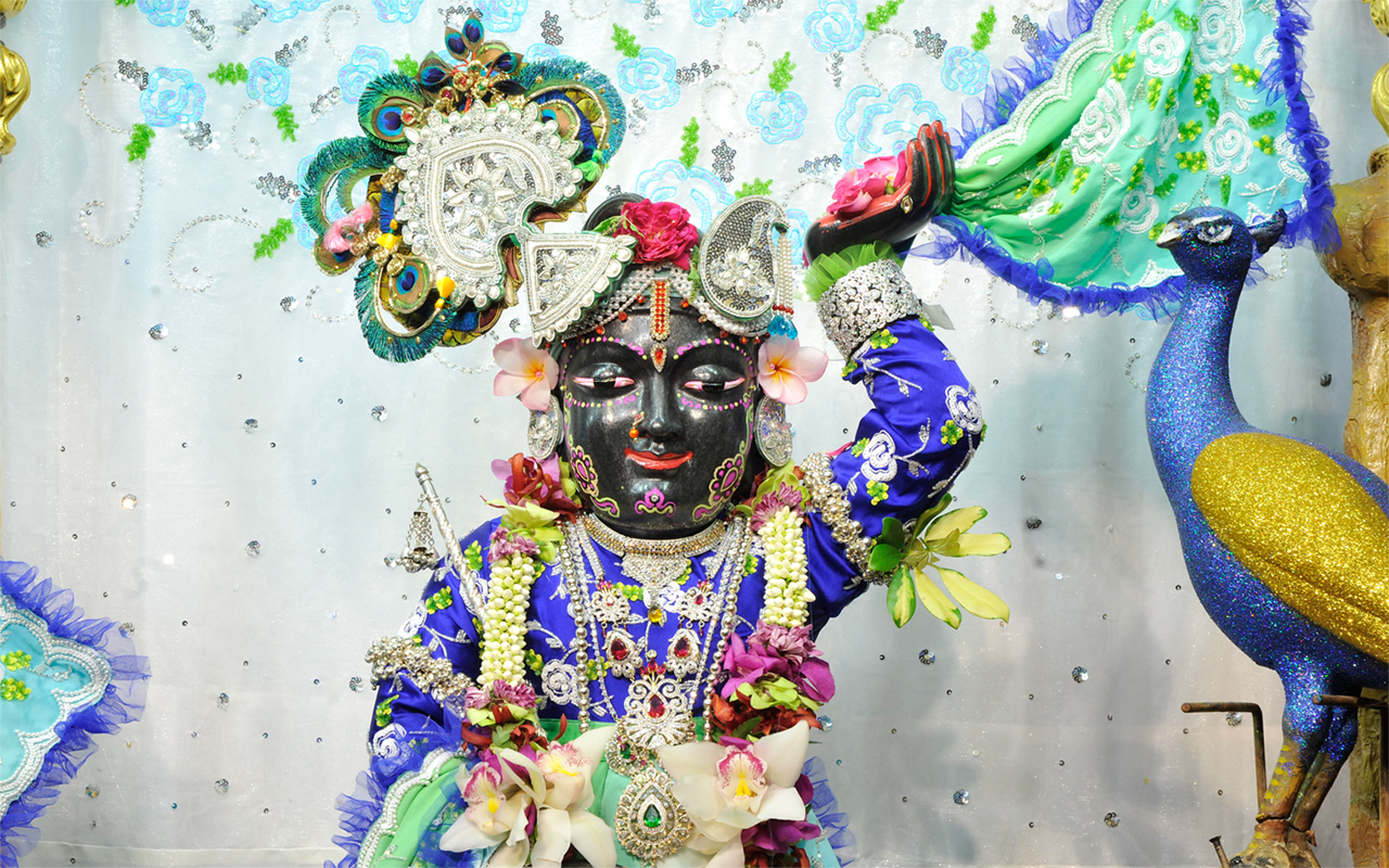 Sri Gopal Close up Wallpaper (016) Size 1280x800 Download