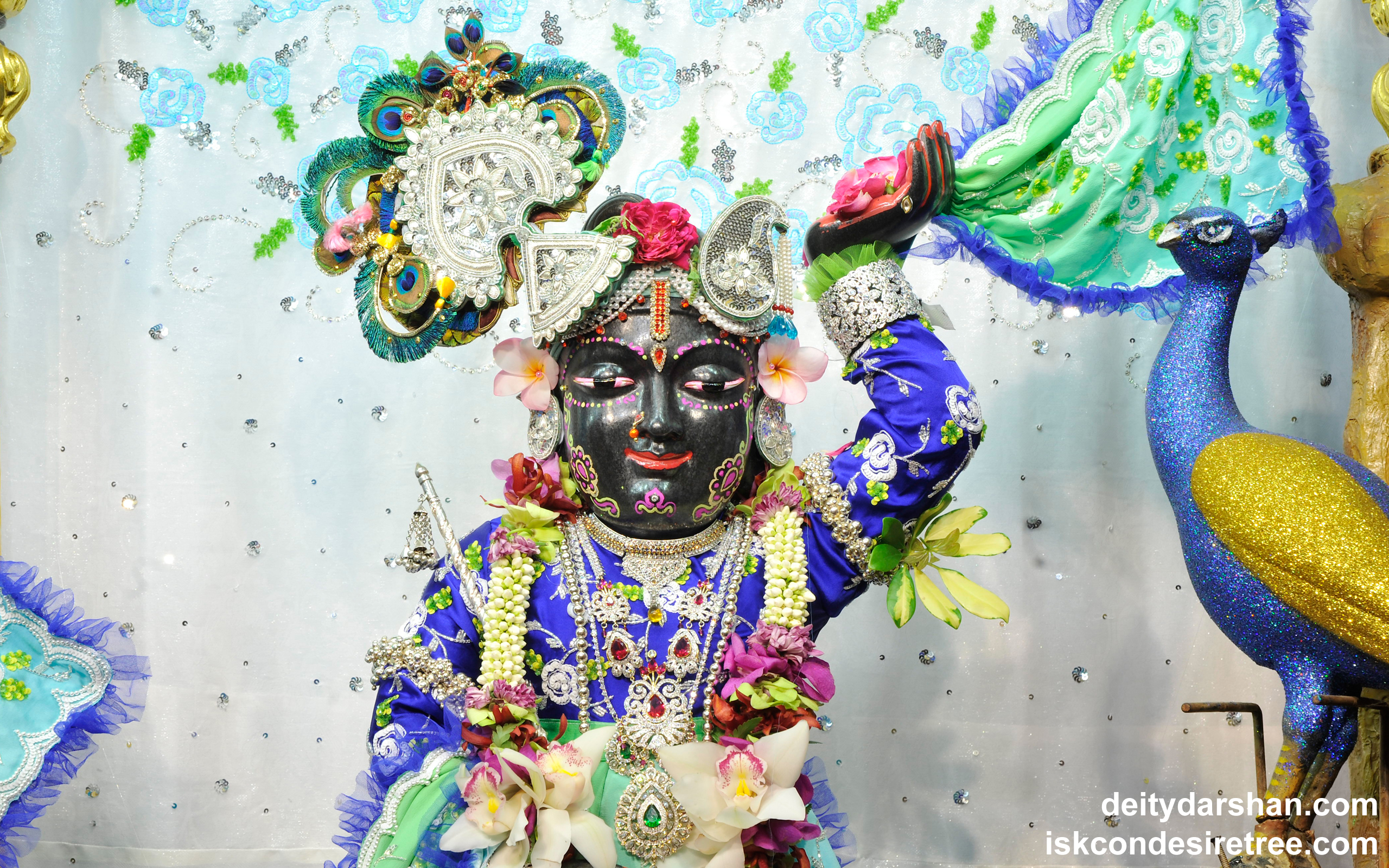 Sri Gopal Close up Wallpaper (016) Size 2560x1600 Download