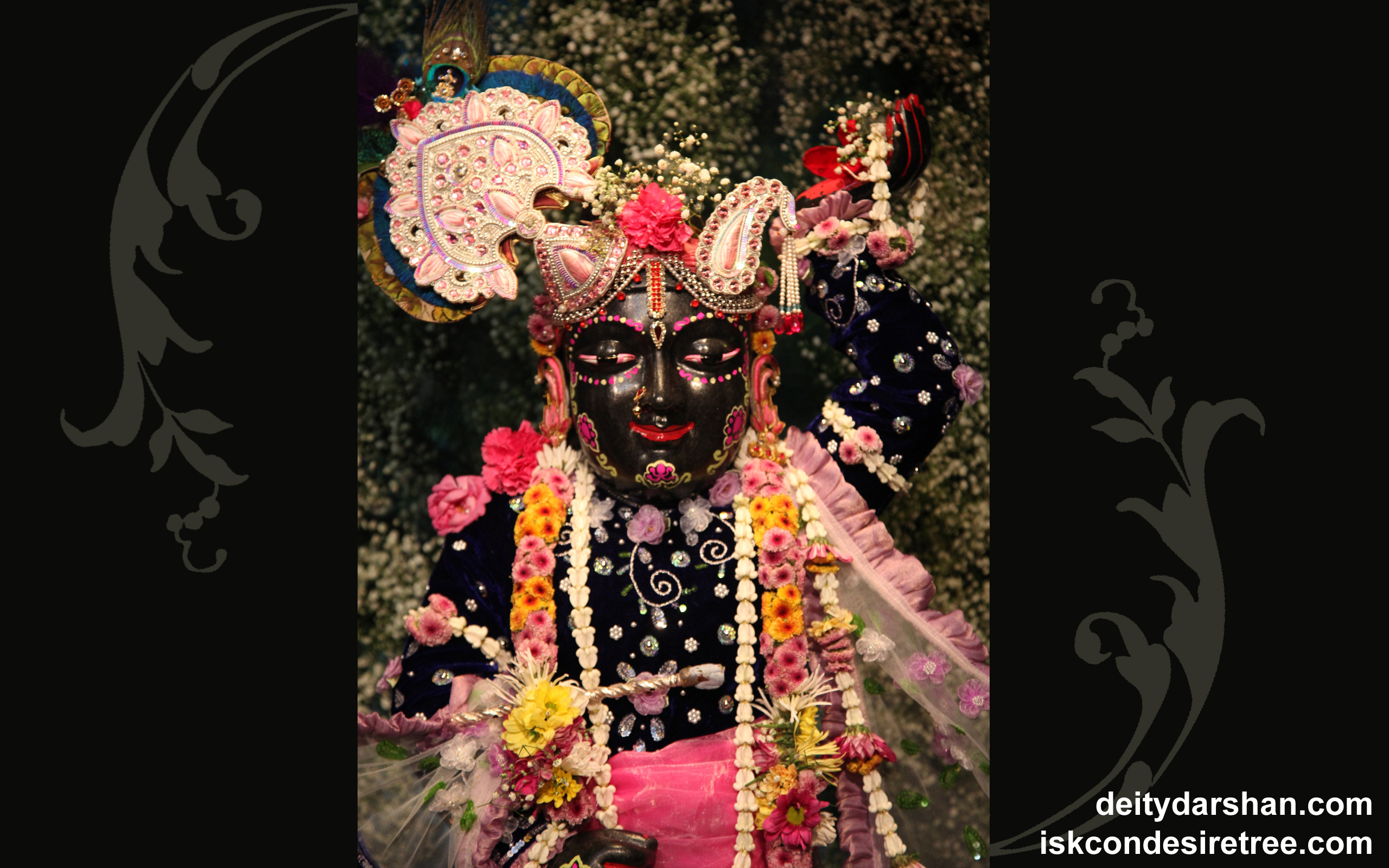 Sri Gopal Close up Wallpaper (017) Size 2560x1600 Download